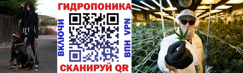 кракен сайт  Сокол  МАРИХУАНА Bruce Banner 